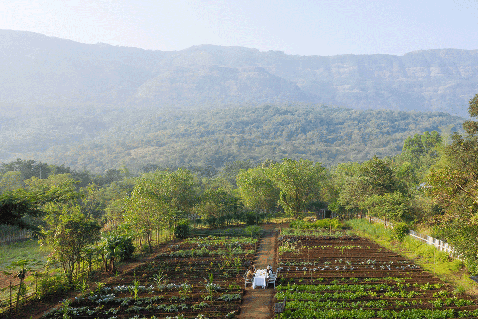 Dharana at Shillim 5*